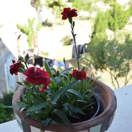 Adria Apartman Rovinj
